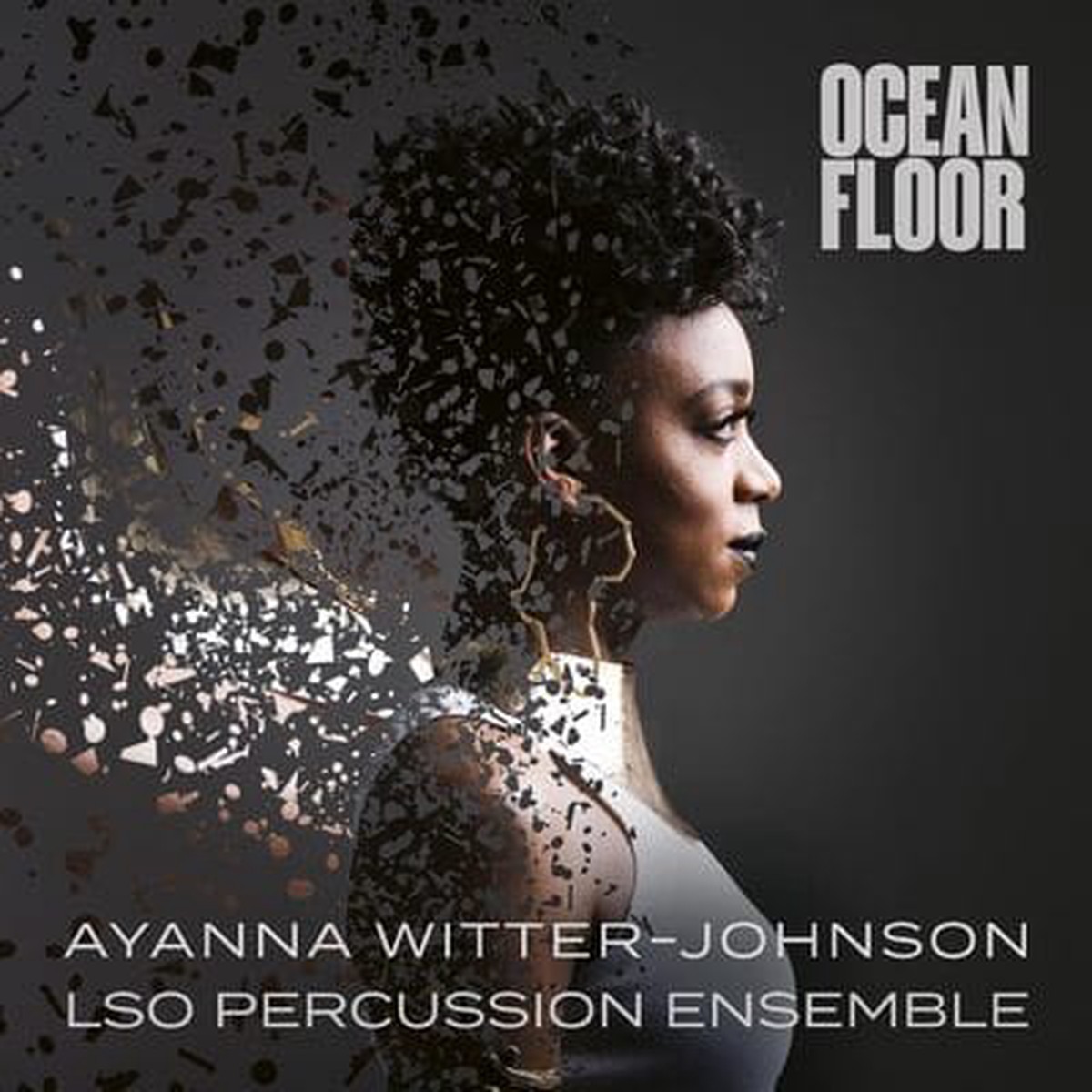 Ayanna Witter-Johnson Ocean Floor – Ayanna Witter-Johnson CD