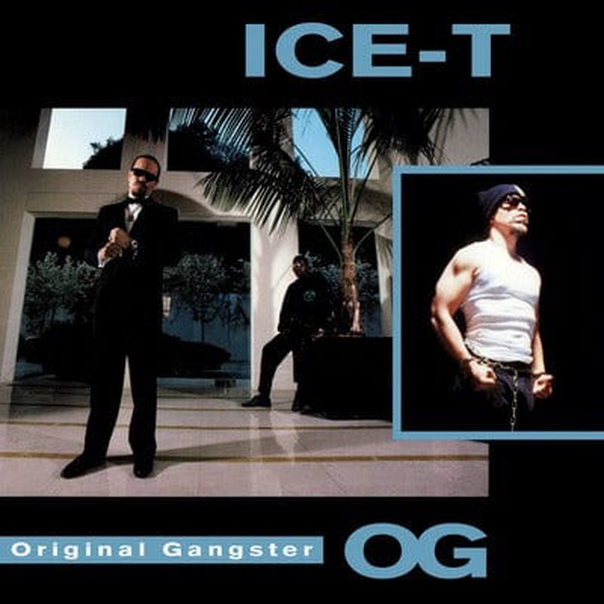 OG Original Gangster - Ice-T VINYL