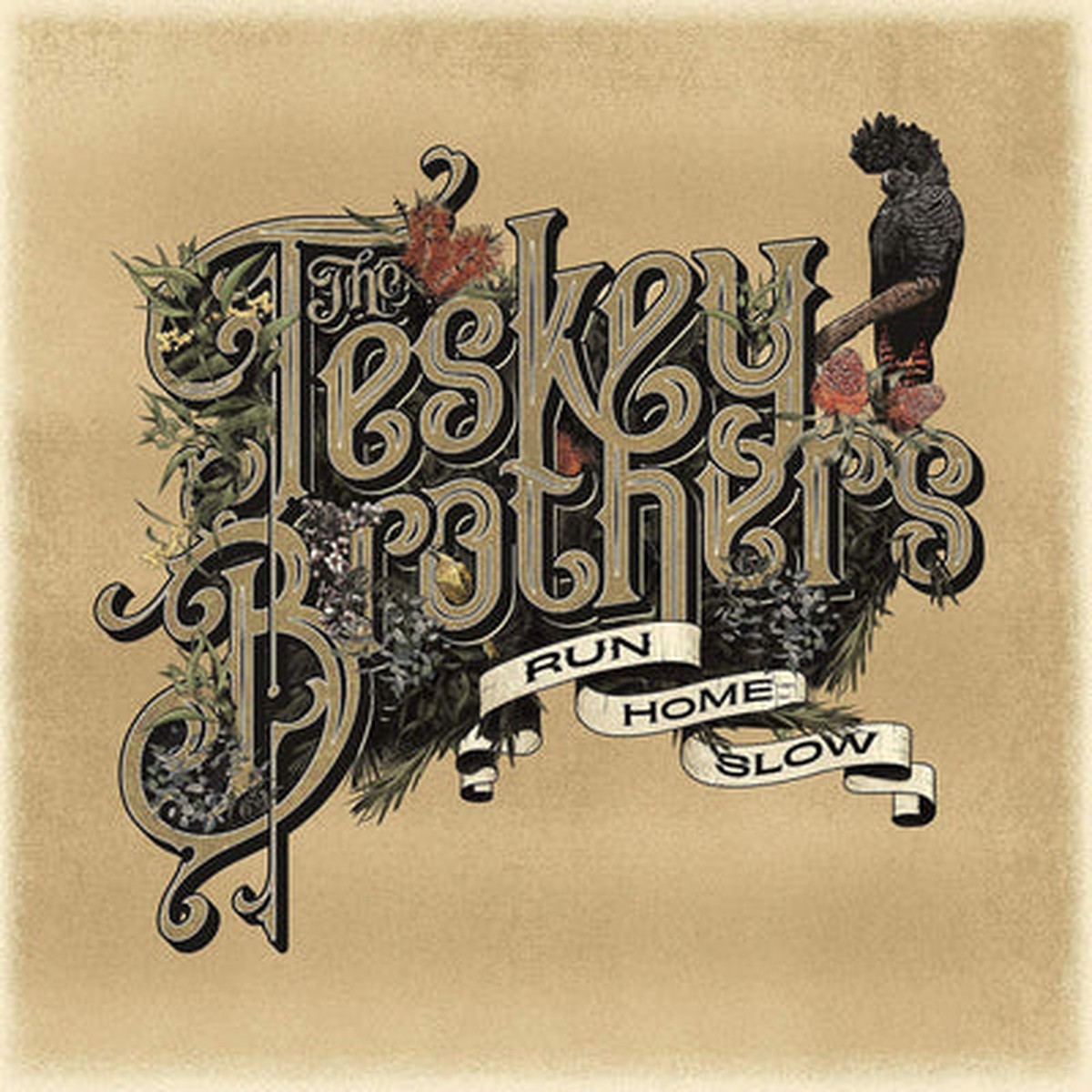 Run Home Slow - The Teskey Brothers CD