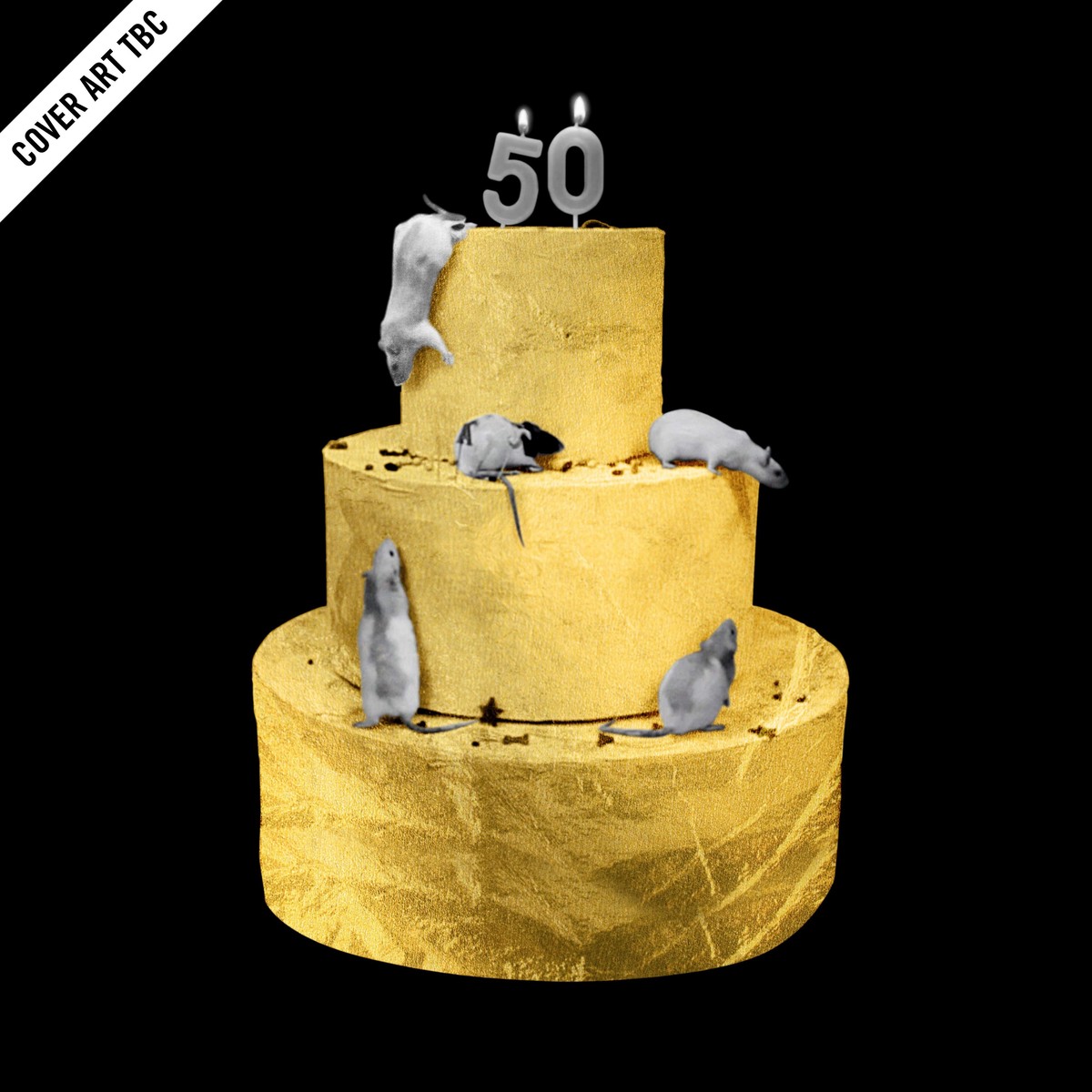 The First 50 Years Songs Of Boomtown Glory - The Boomtown Rats VINYL