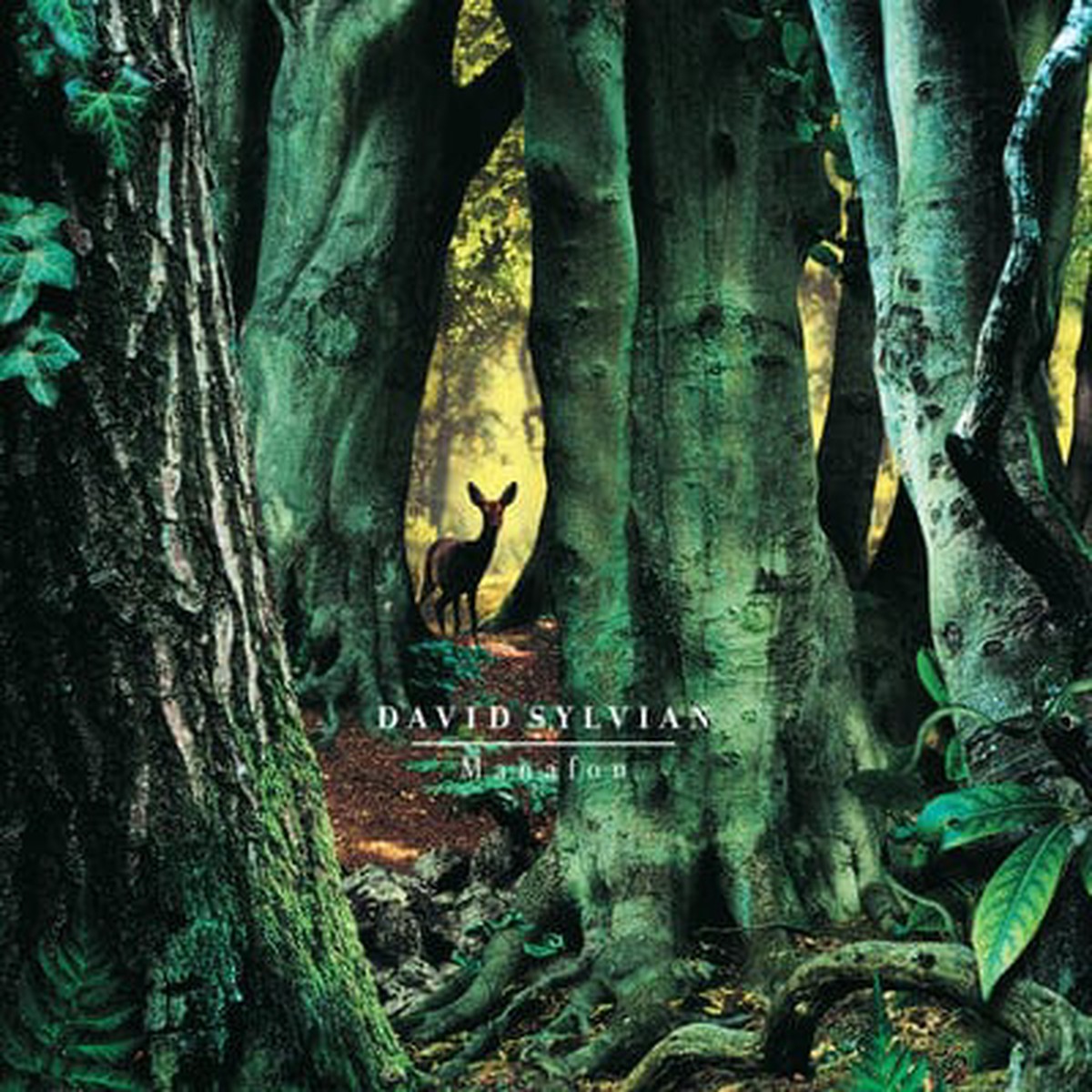 Manafon – David Sylvian VINYL