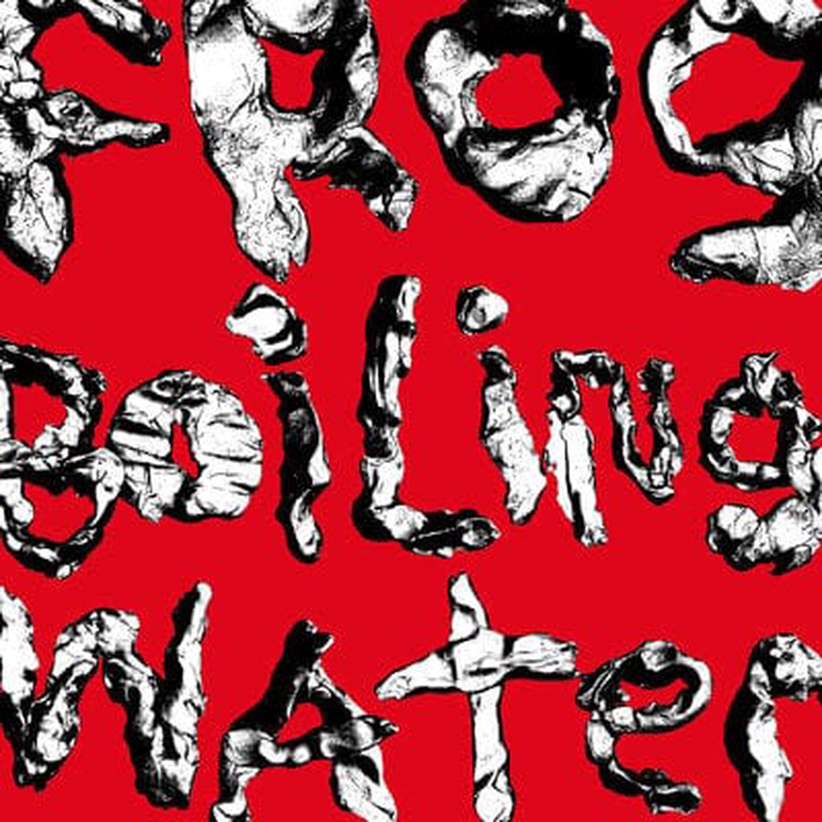 Frog in Boiling Water – DIIV VINYL