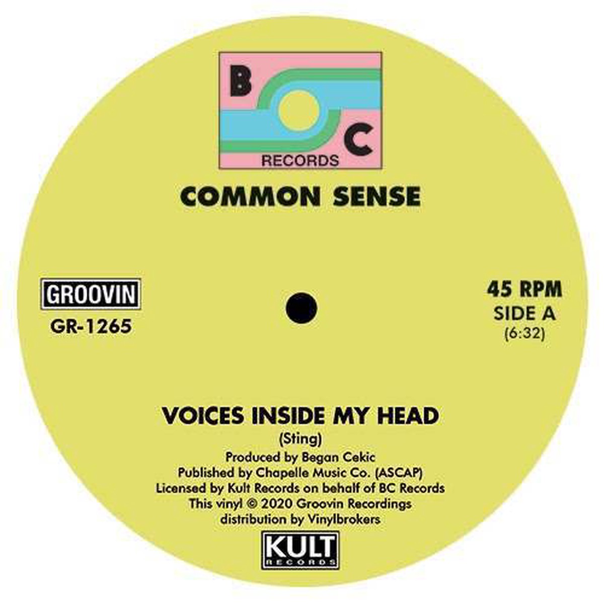Voices Inside My Head