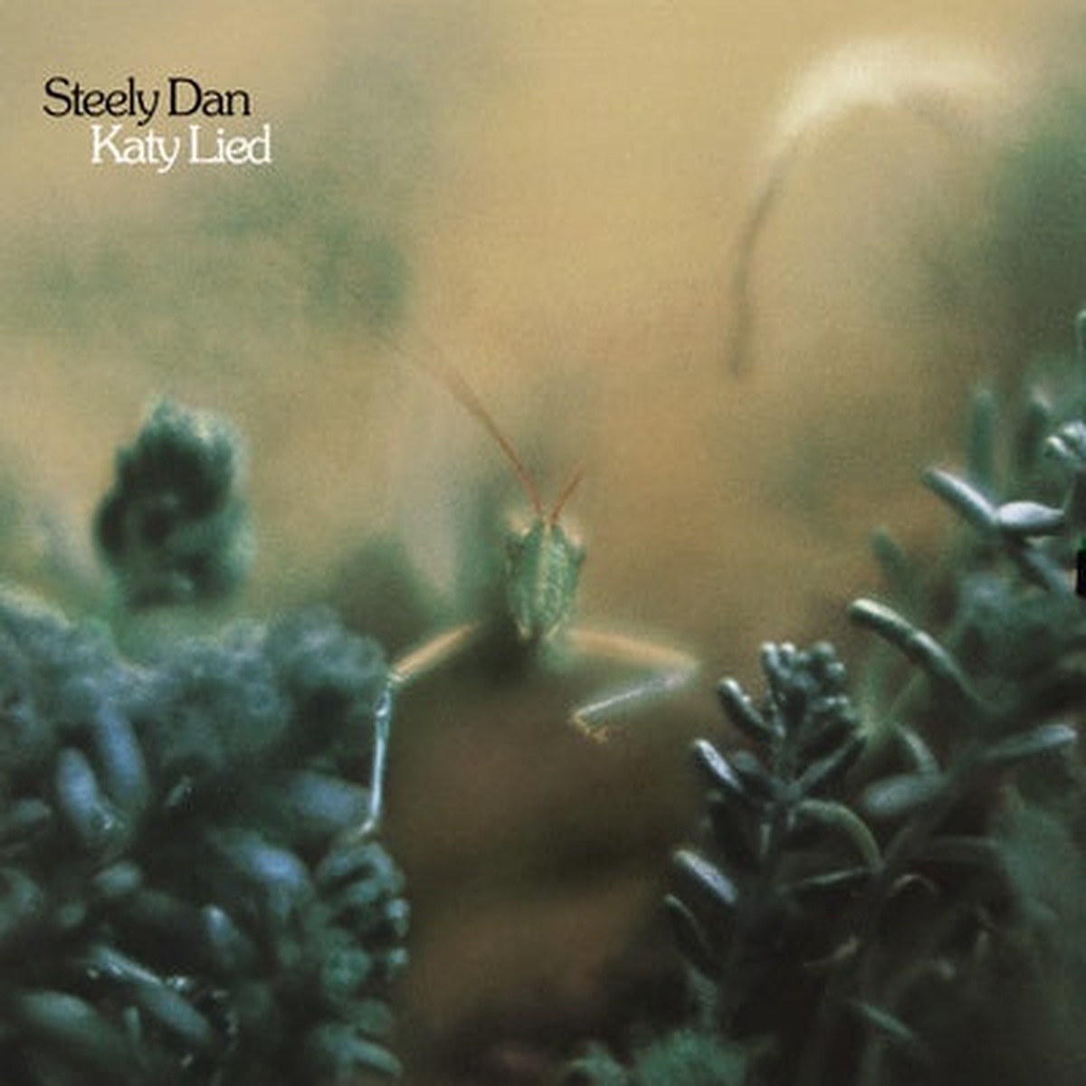 Katy Lied (2024 Re-issue) – Steely Dan VINYL