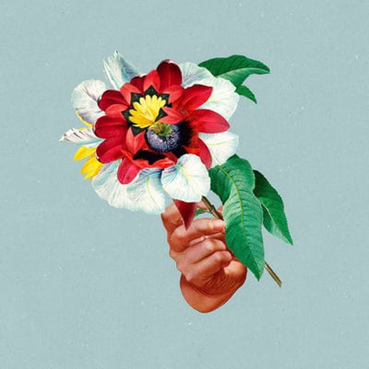 Kingdoms in Colour – Maribou State CD