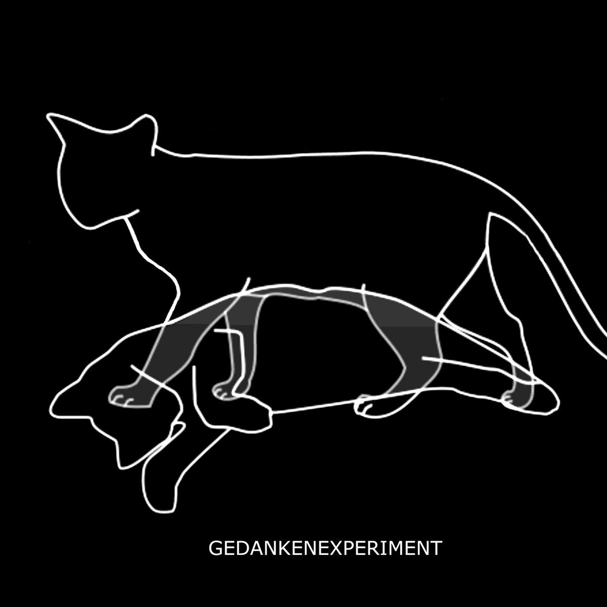 Experiment Defined