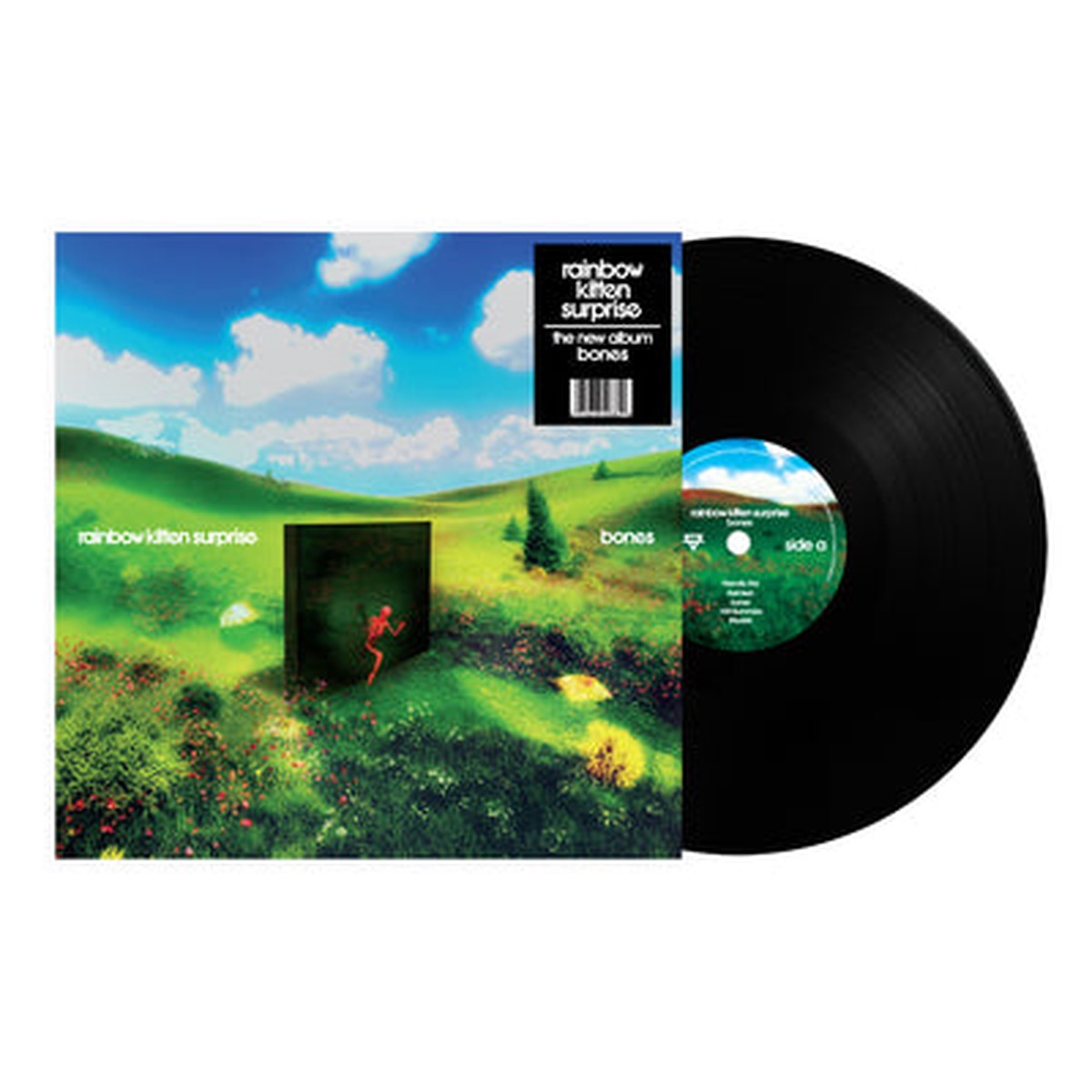 Bones – Rainbow Kitten Surprise VINYL