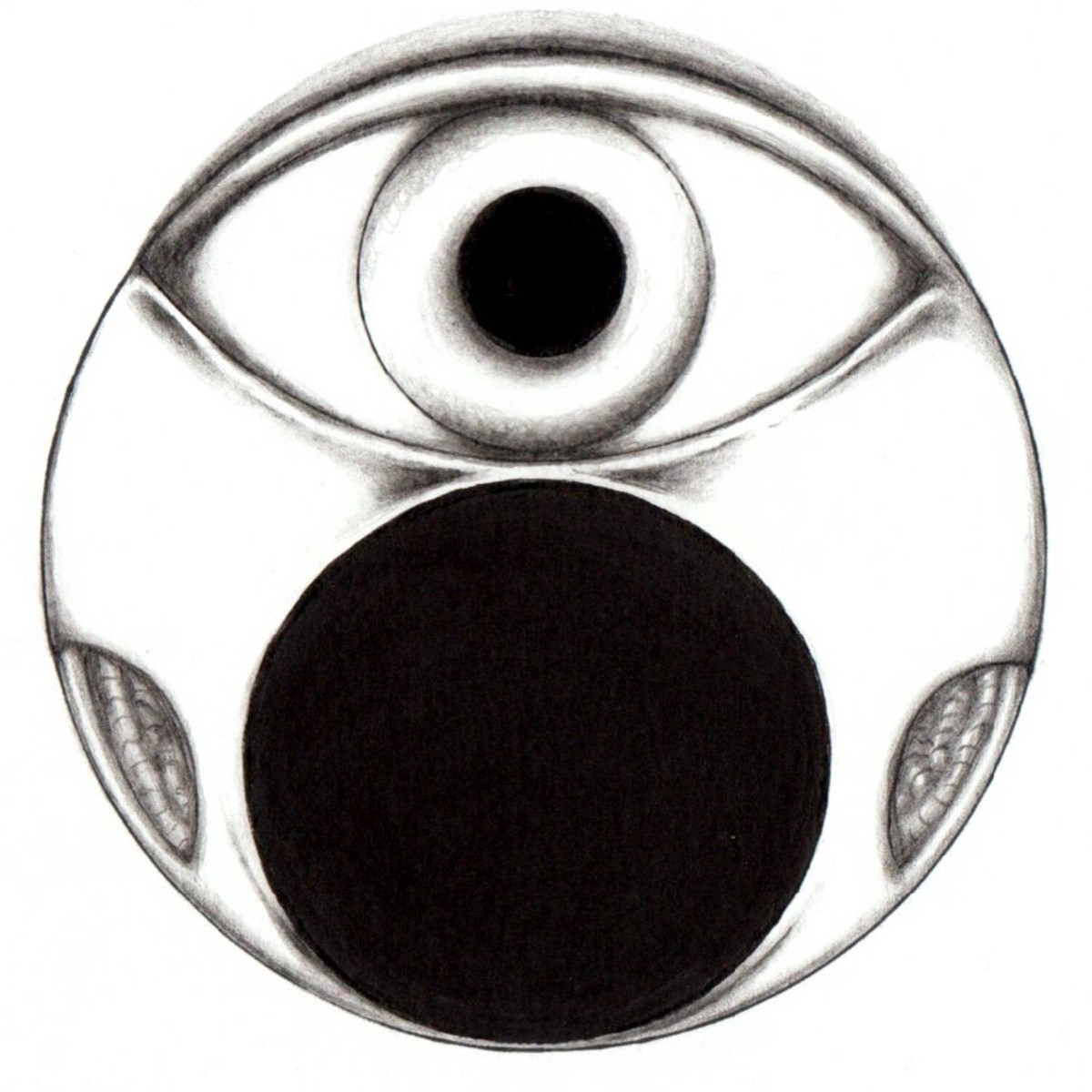 EV 001
