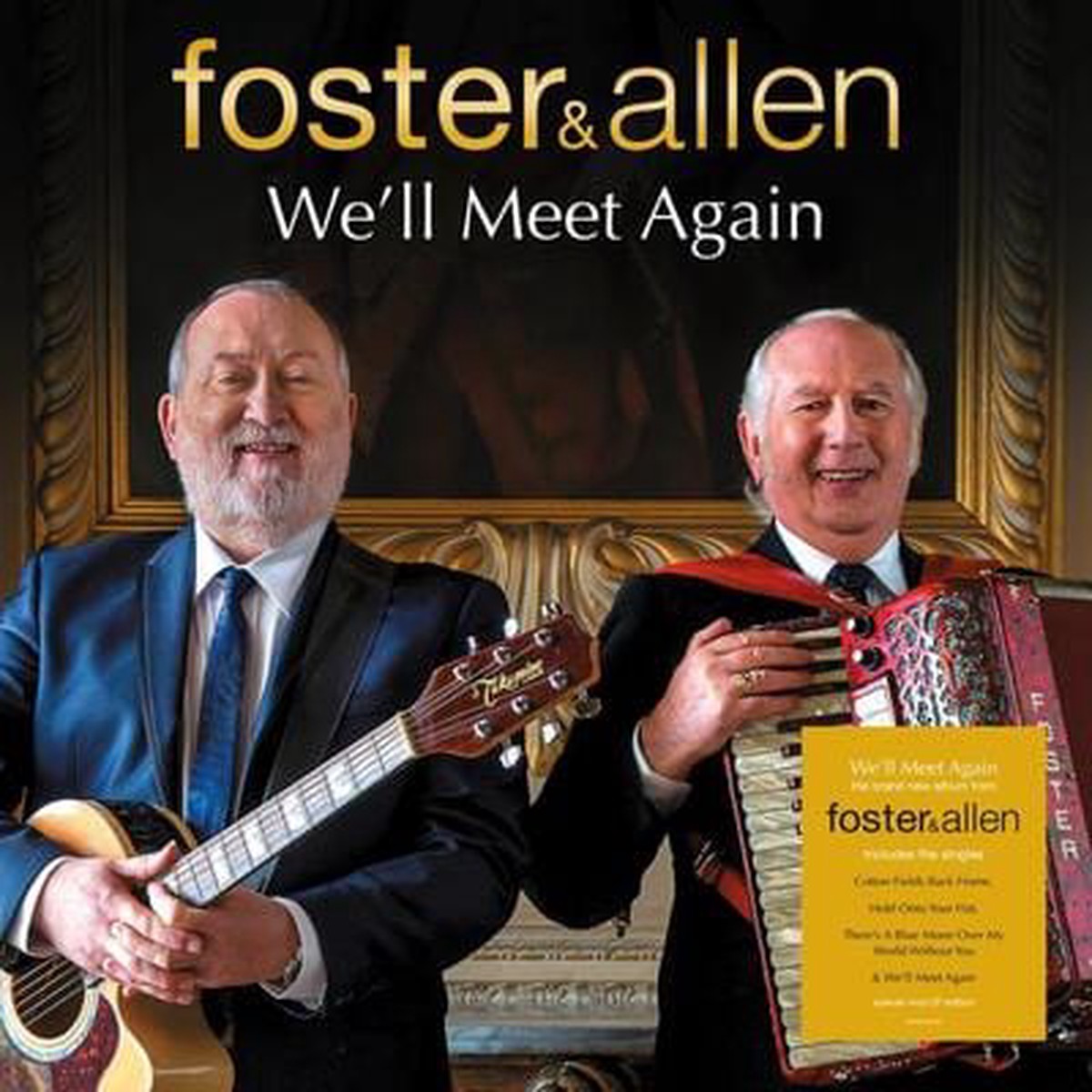 Well Meet Again – Foster and Allen VINYL