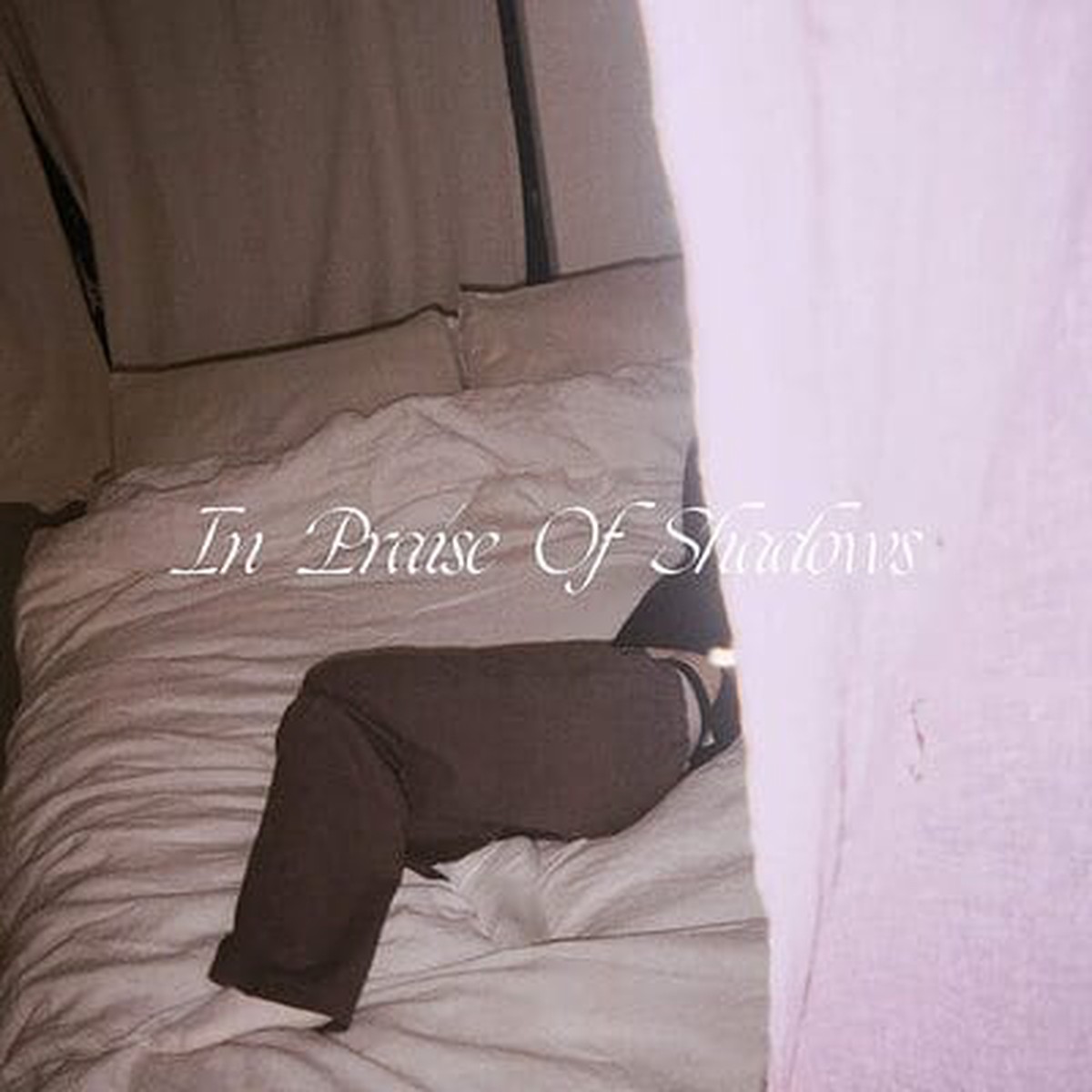 In Praise of Shadows – Puma Blue VINYL