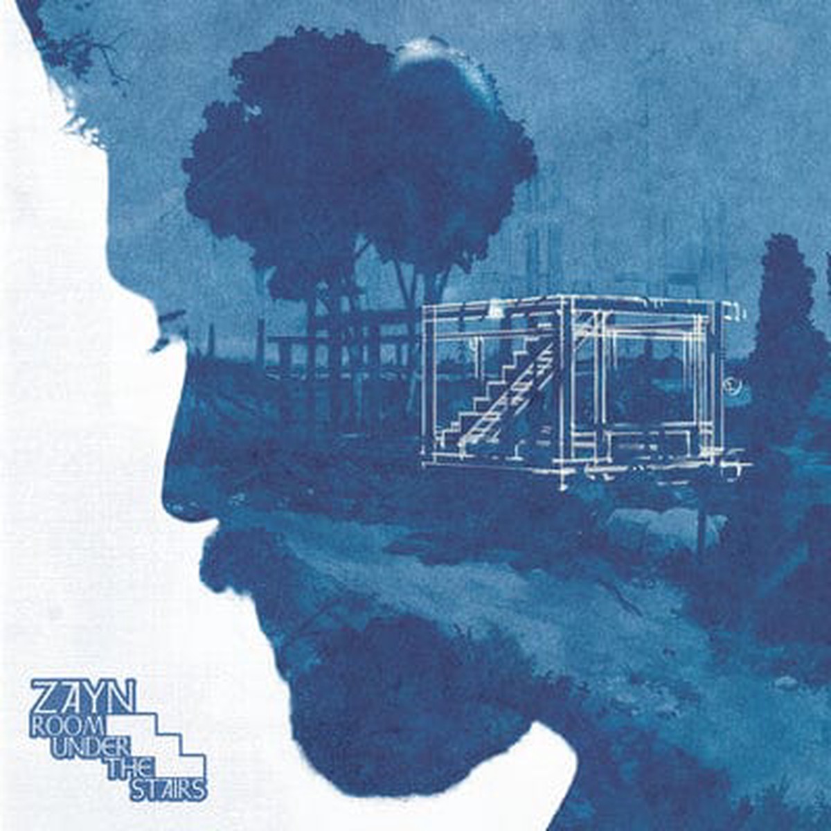 Room Under the Stairs – Zayn CD