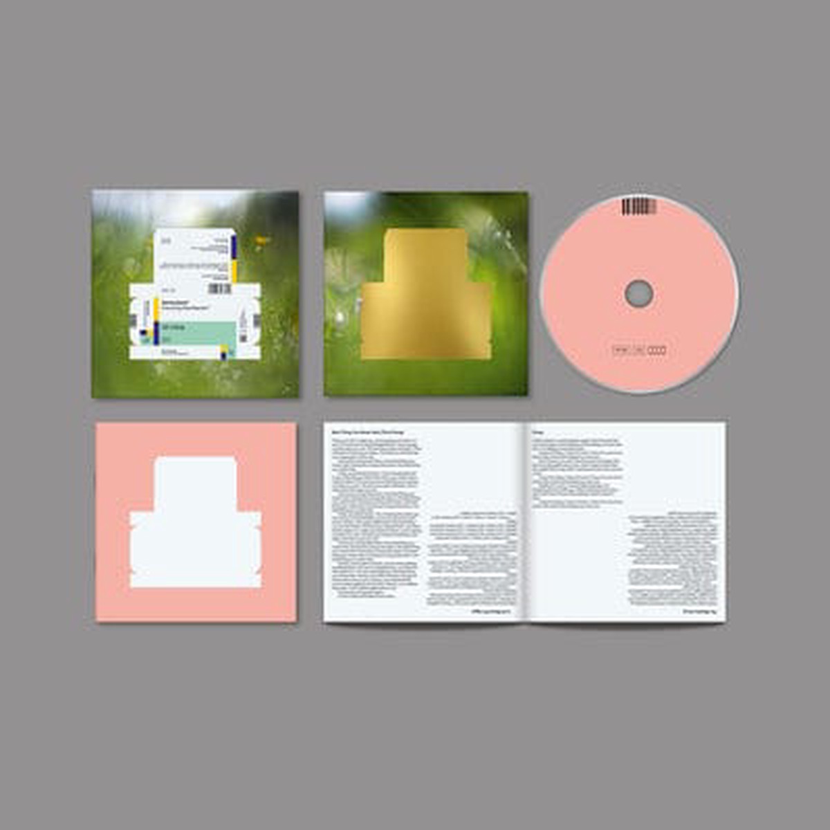 Everything Was Beautiful – Spiritualized CD