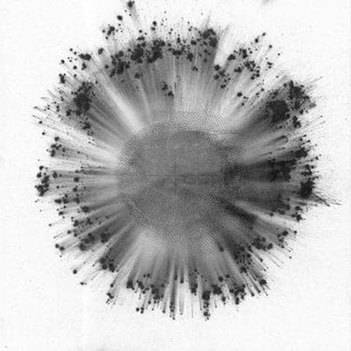 Obverse – Trentemller CD