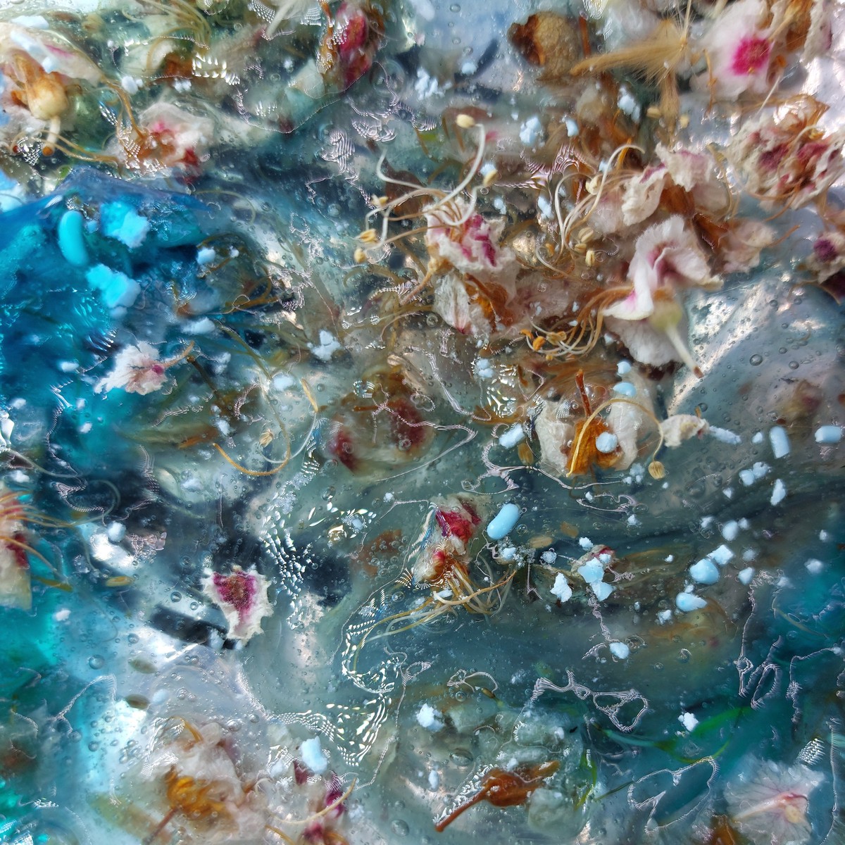 Water Bodies