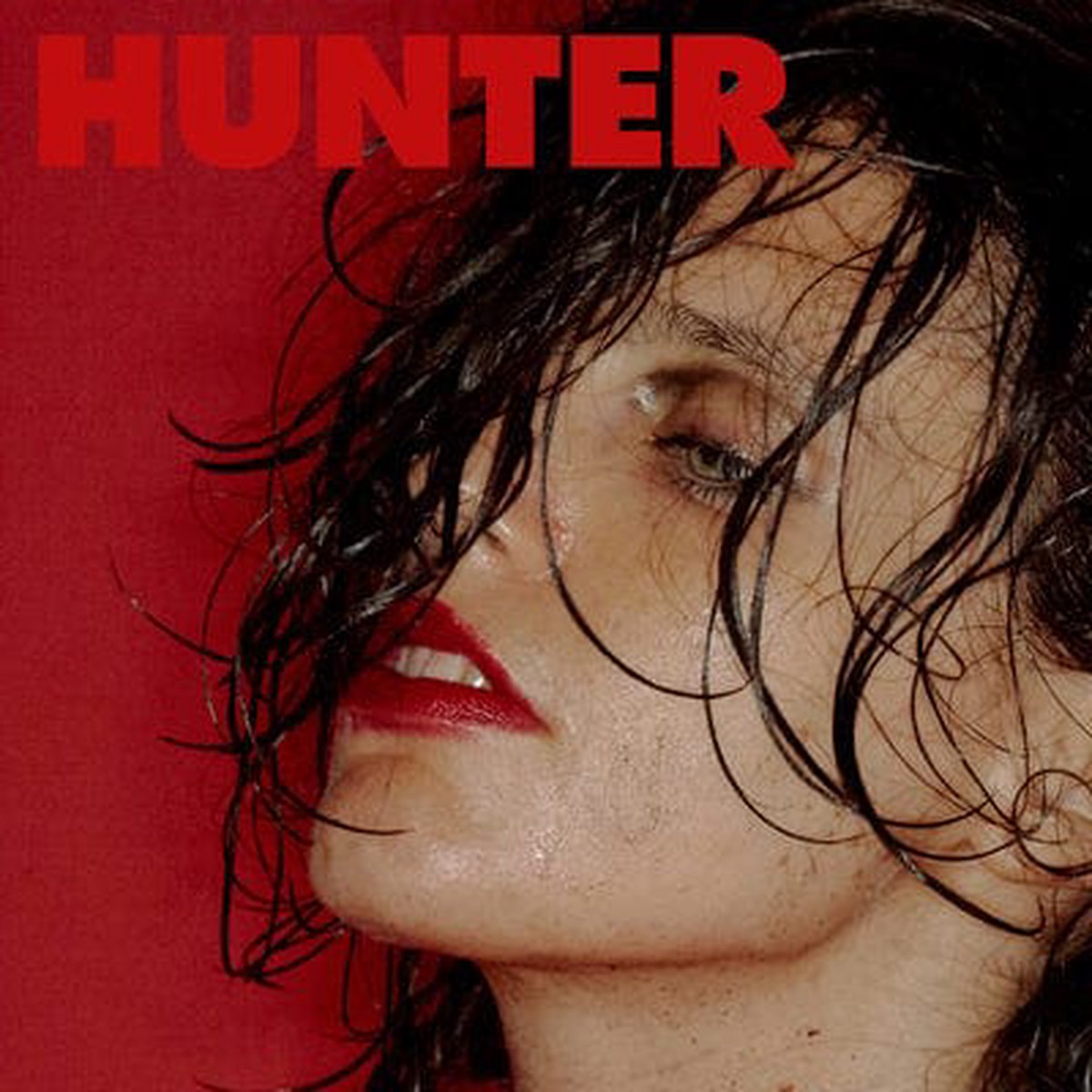 Hunter – Anna Calvi VINYL