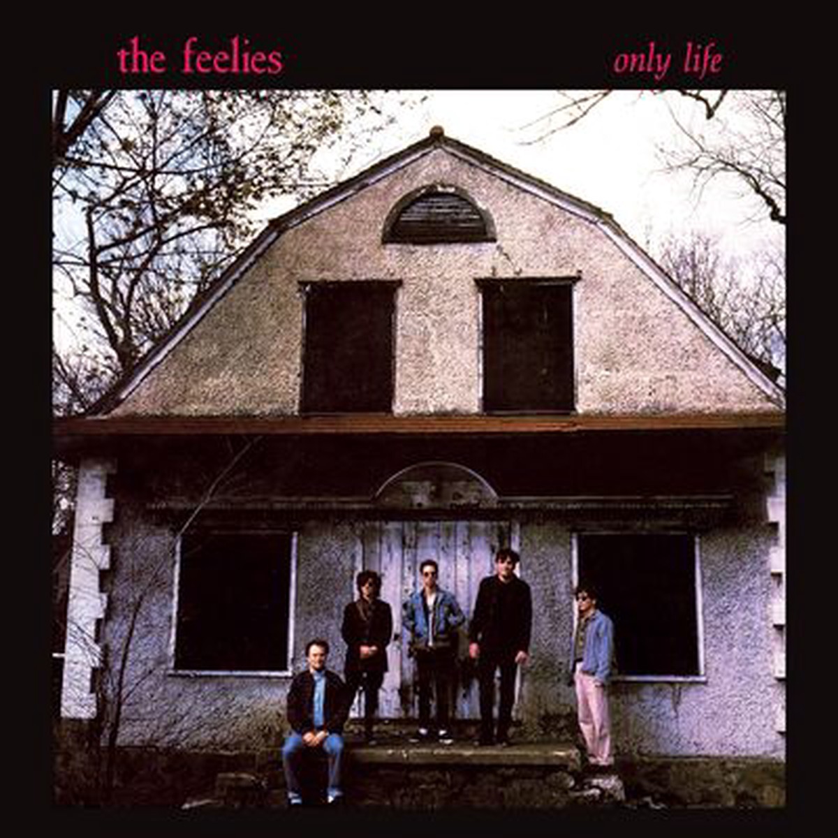 Only Life – The Feelies VINYL