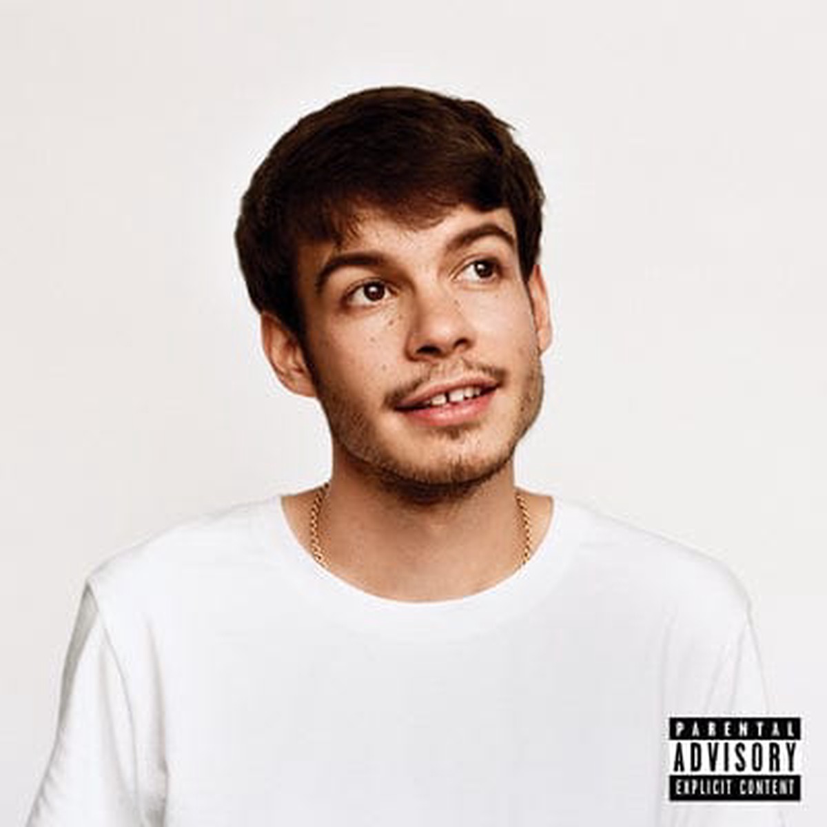 Pony – Rex Orange County VINYL
