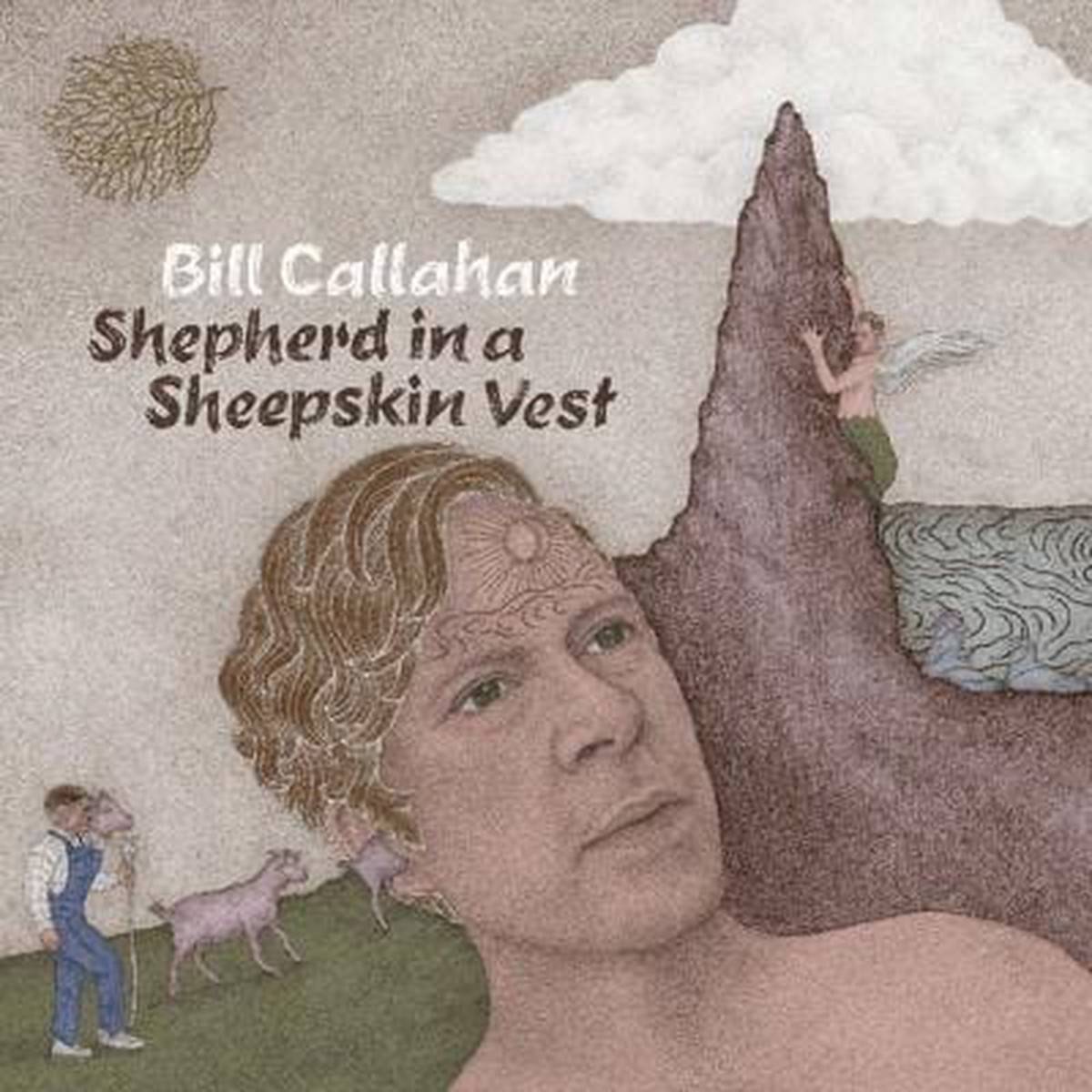 Shepherd in a Sheepskin Vest – Bill Callahan CD