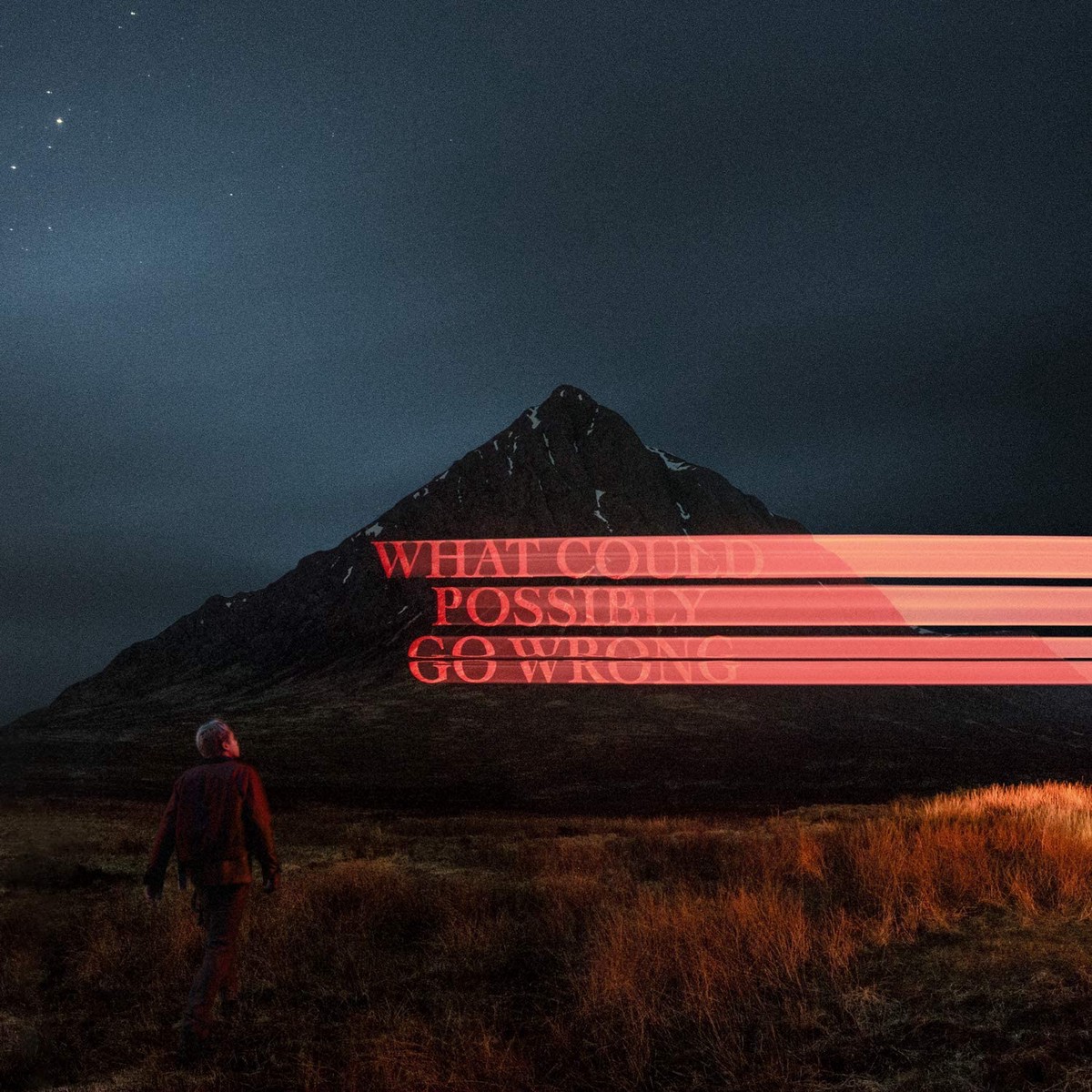 What Could Possibly Go Wrong - Dominic Fike CD