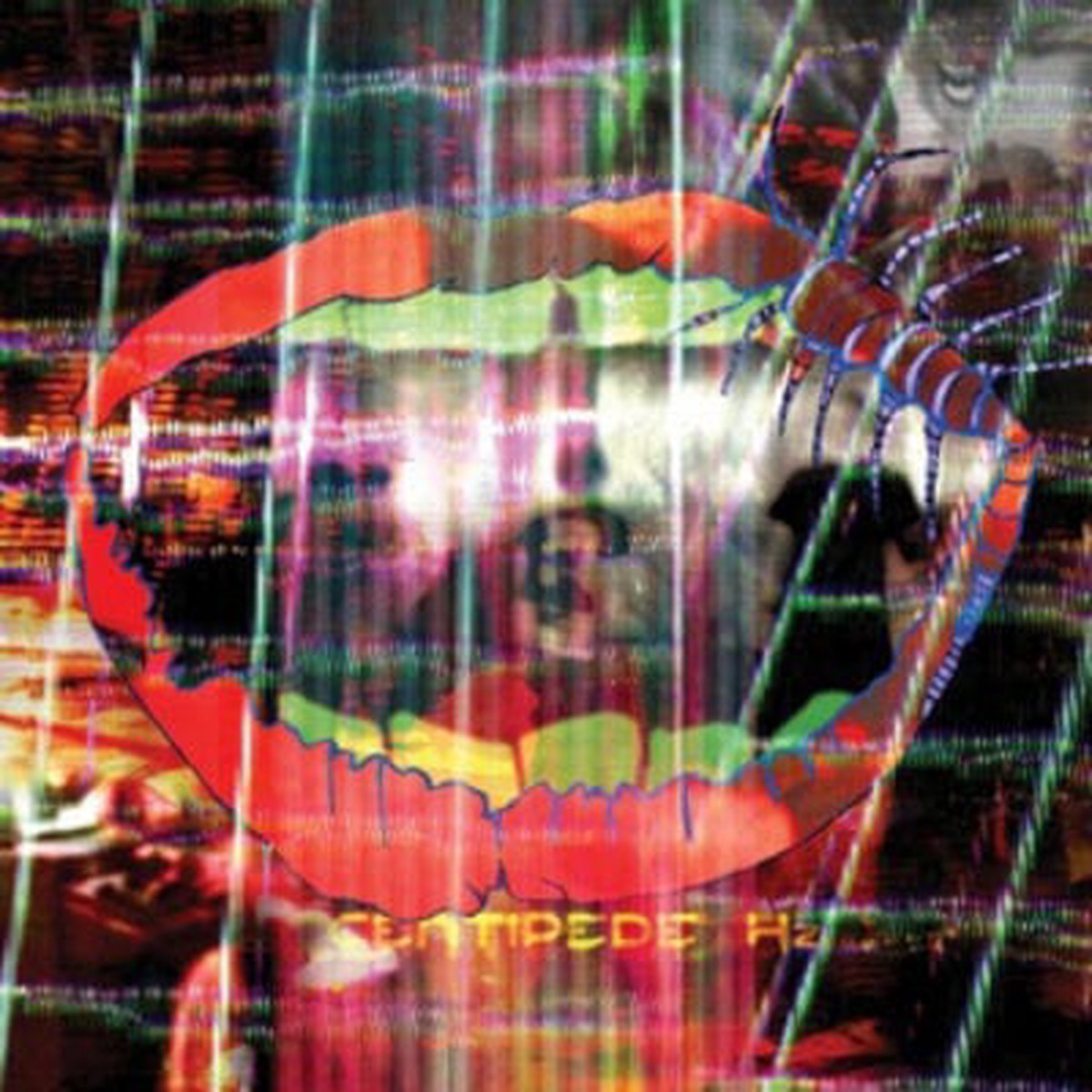 Centipede Hz – Animal Collective VINYL