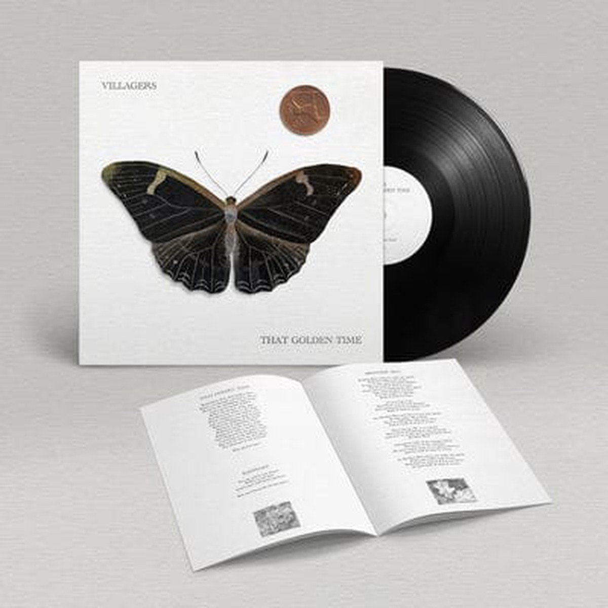 That Golden Time – Villagers VINYL