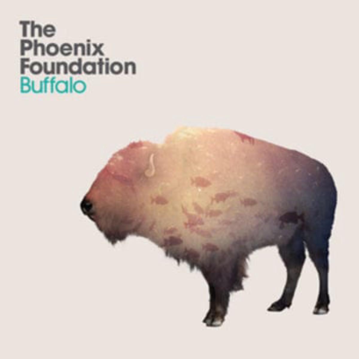 Buffalo - The Phoenix Foundation CD
