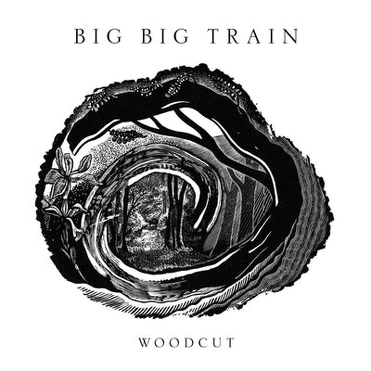Woodcut - Big Big Train CD