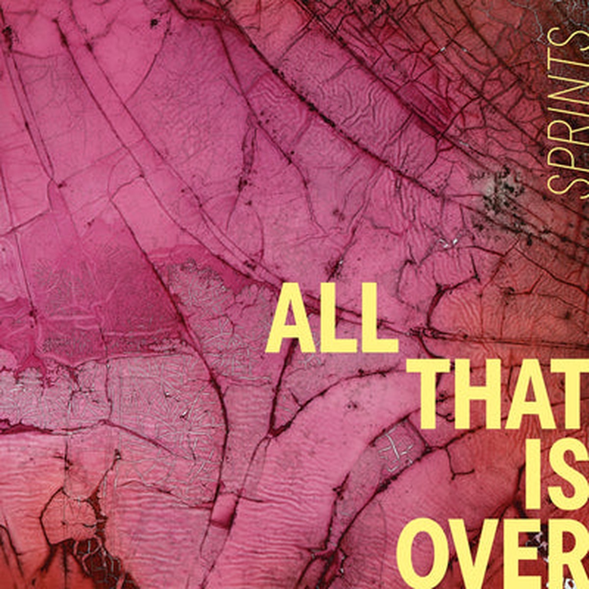 All That Is Over - Sprints VINYL