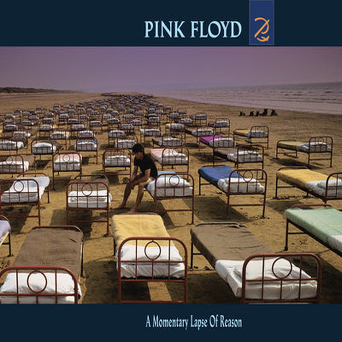 A Momentary Lapse of Reason - Pink Floyd VINYL
