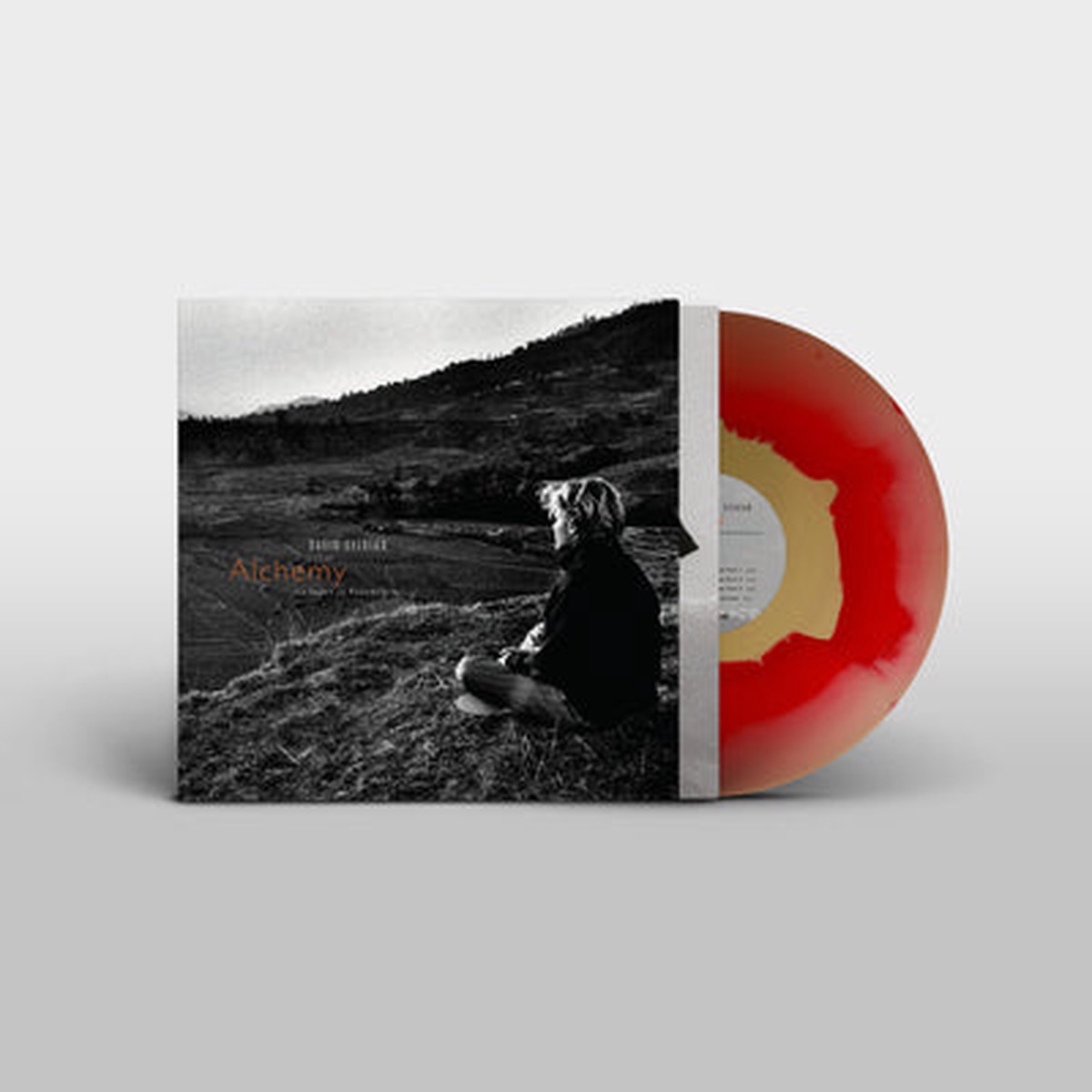Alchemy An Index of Possibilities - David Sylvian VINYL