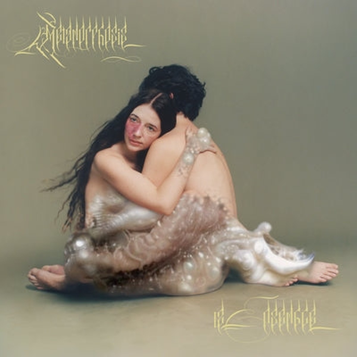 12 Ensemble Metamorphosis - 12 Ensemble VINYL