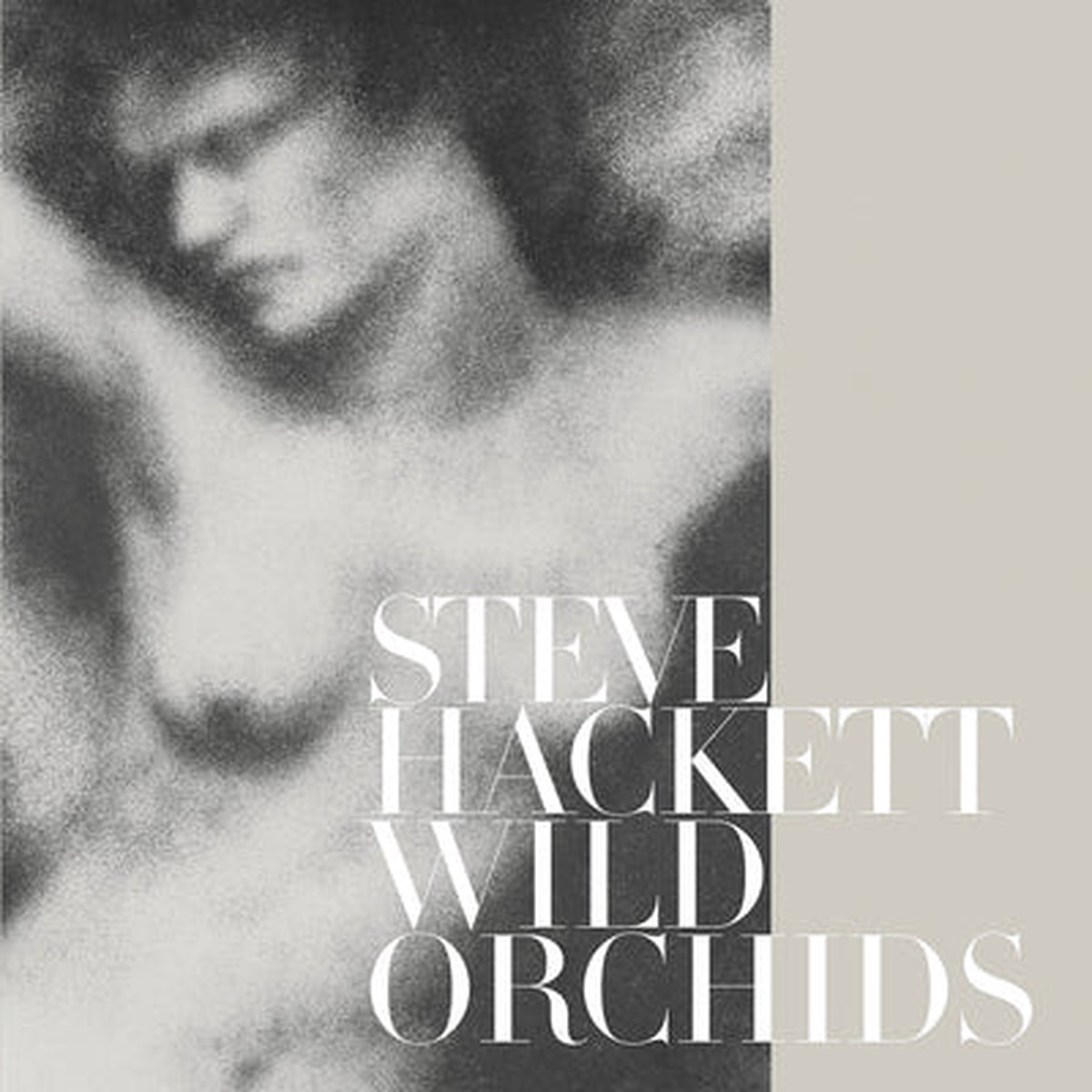 Wild Orchids - Steve Hackett VINYL
