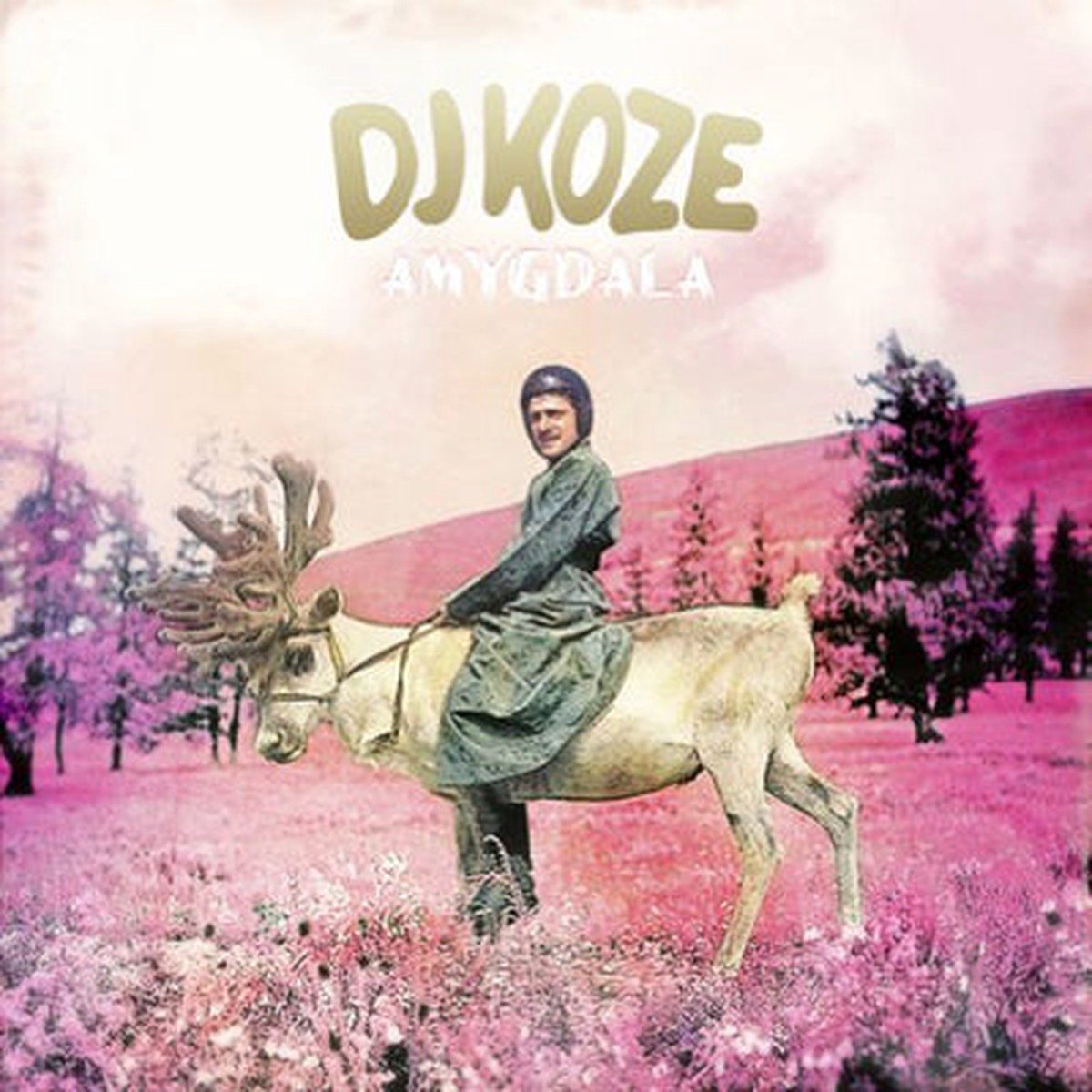 Amygdala - DJ Koze VINYL