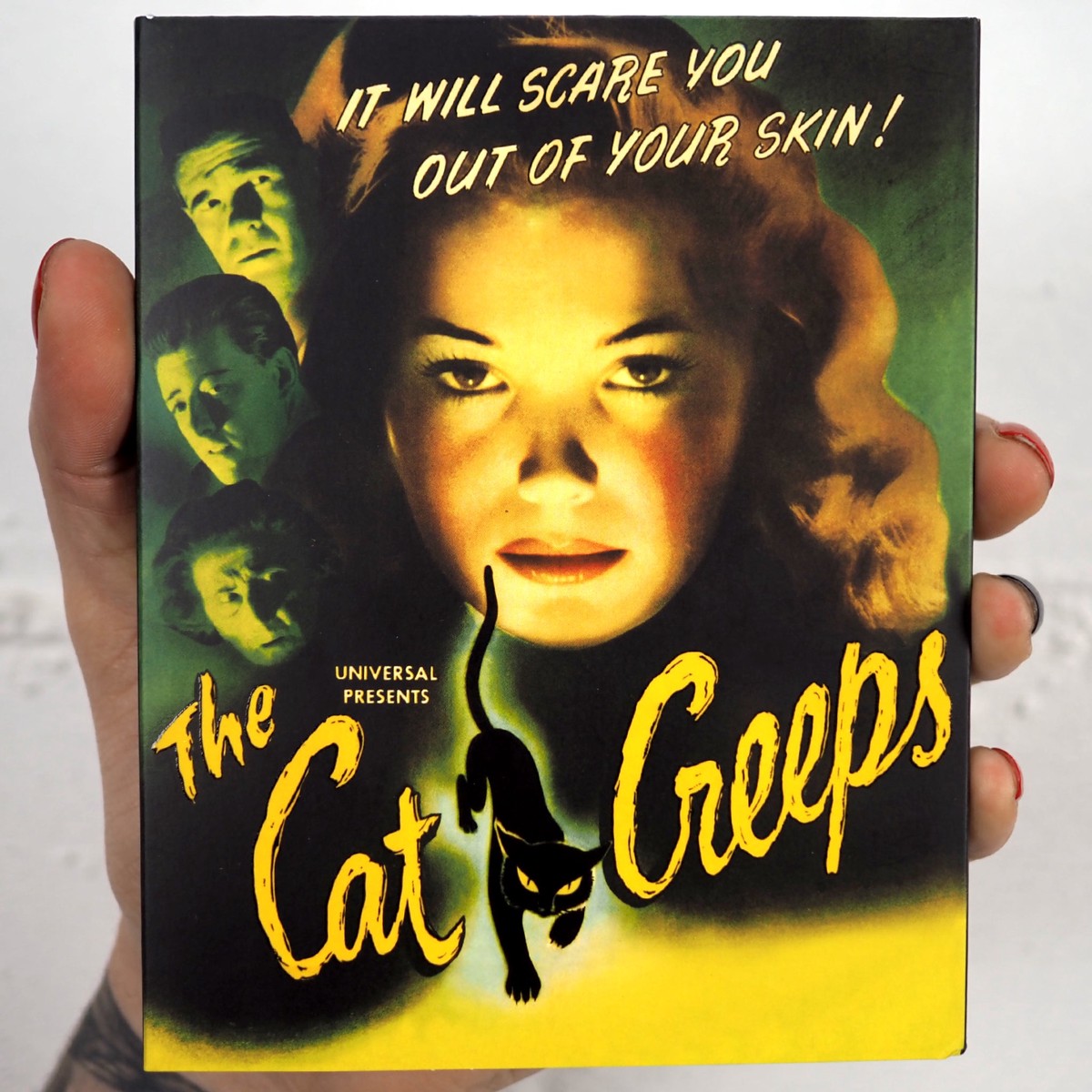 The Cat Creeps