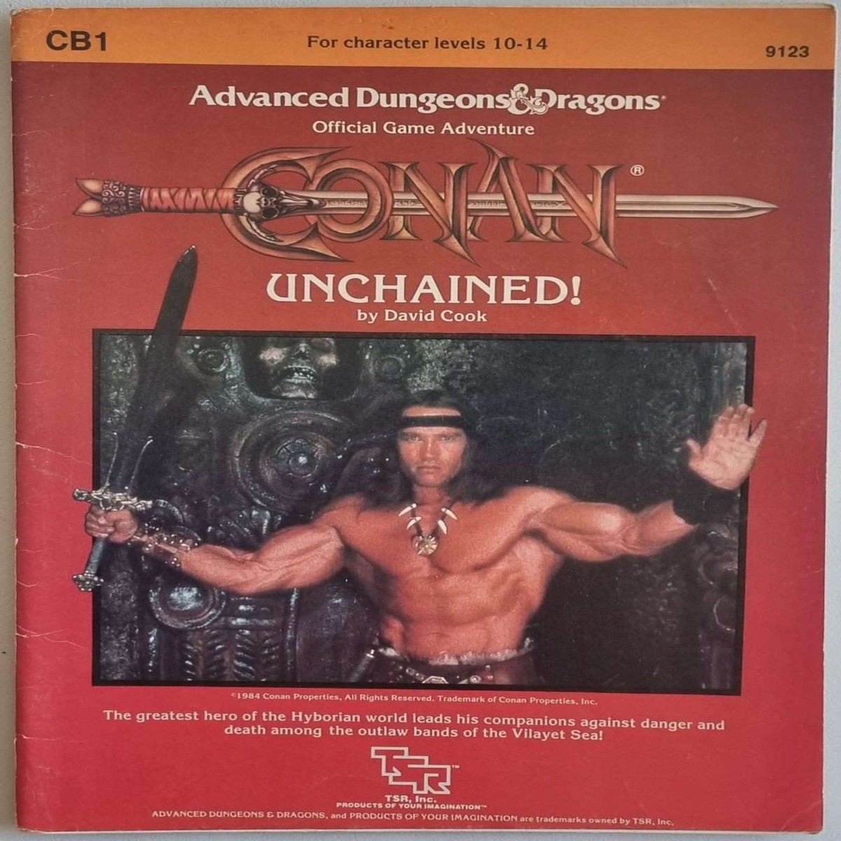 Advanced Dungeons and Dragons Module - Conan Unchained (CB1 9123)