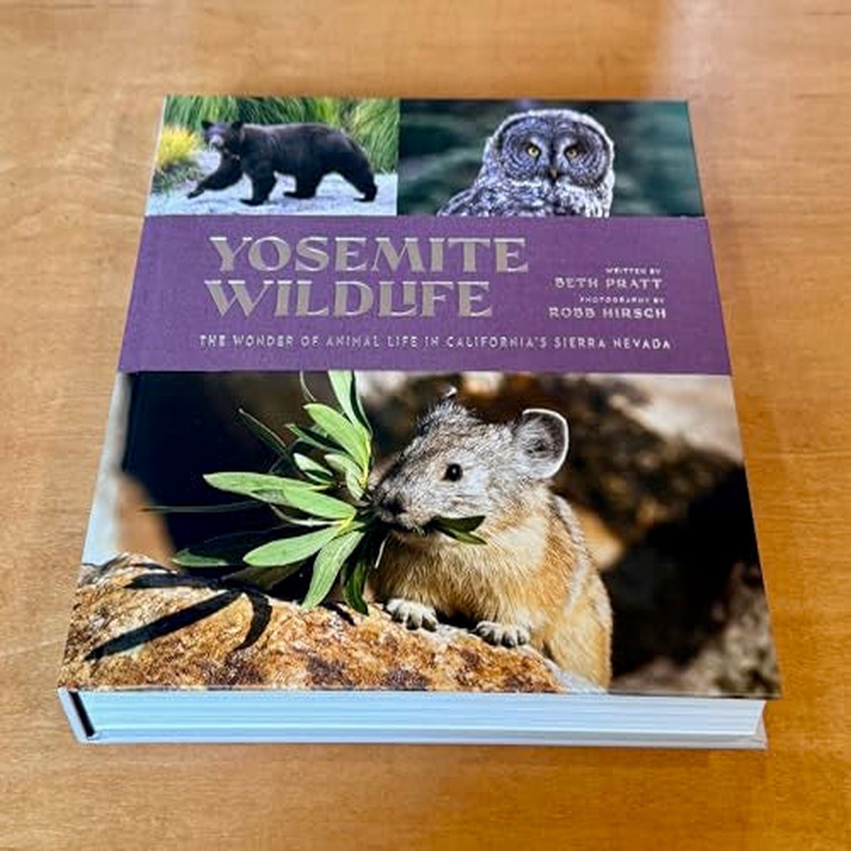 Yosemite Wildlife The Wonder of Animal Life in Californias Sierra Nevada