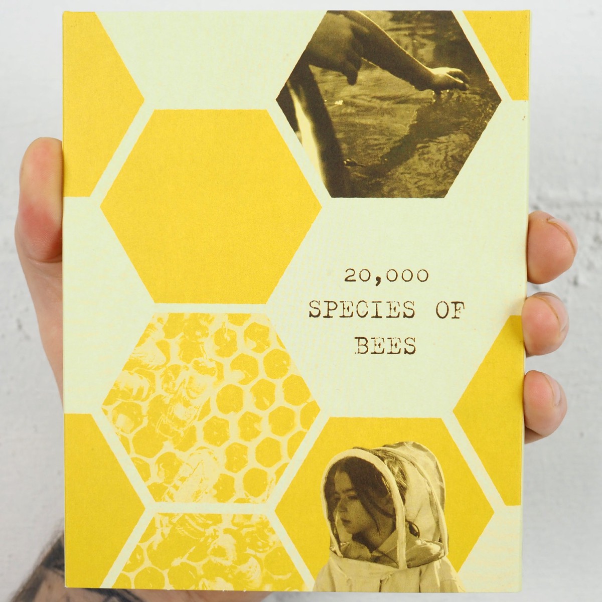 20000 Species of Bees