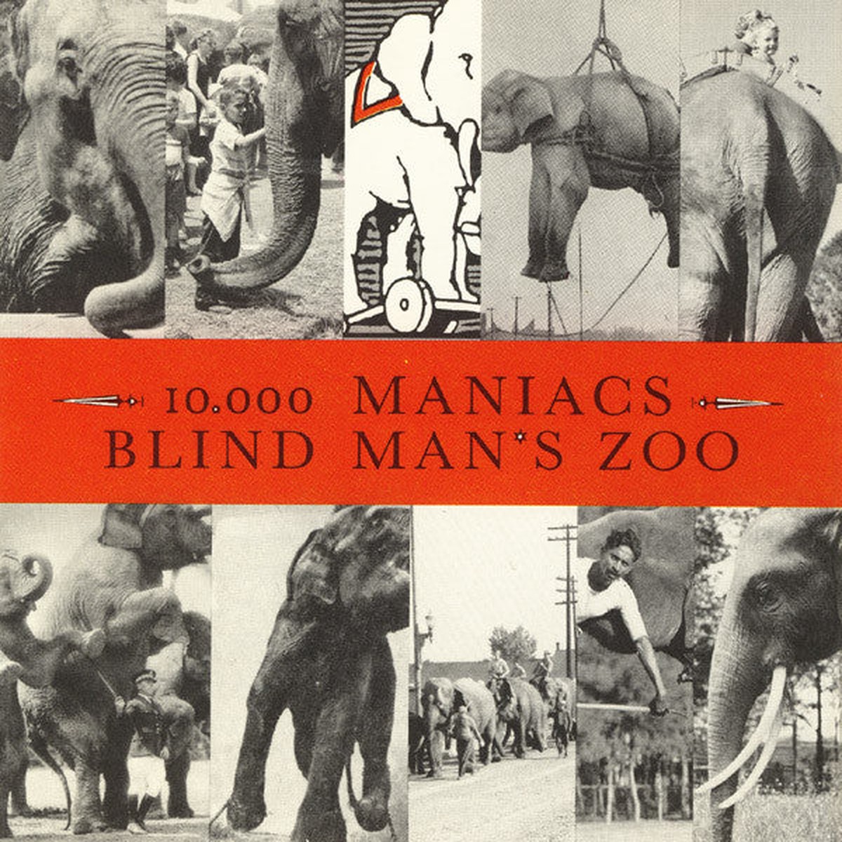 10000 Maniacs - Blind Mans Zoo (CD)