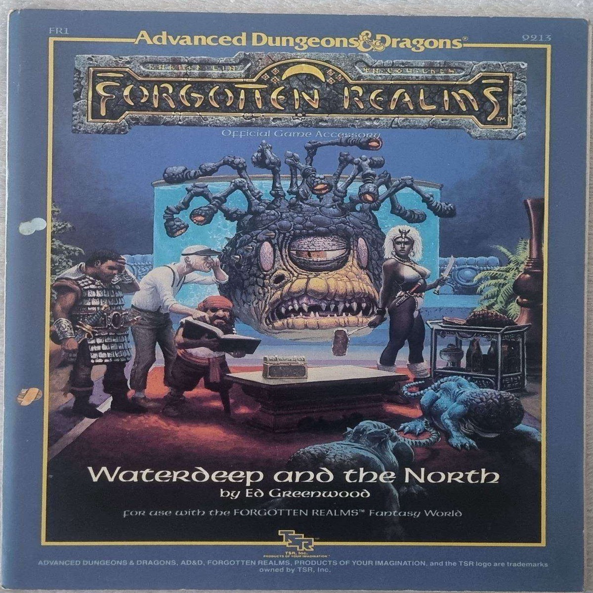 ADD - Forgotten Realms - Waterdeep and the North (FR1 9213)