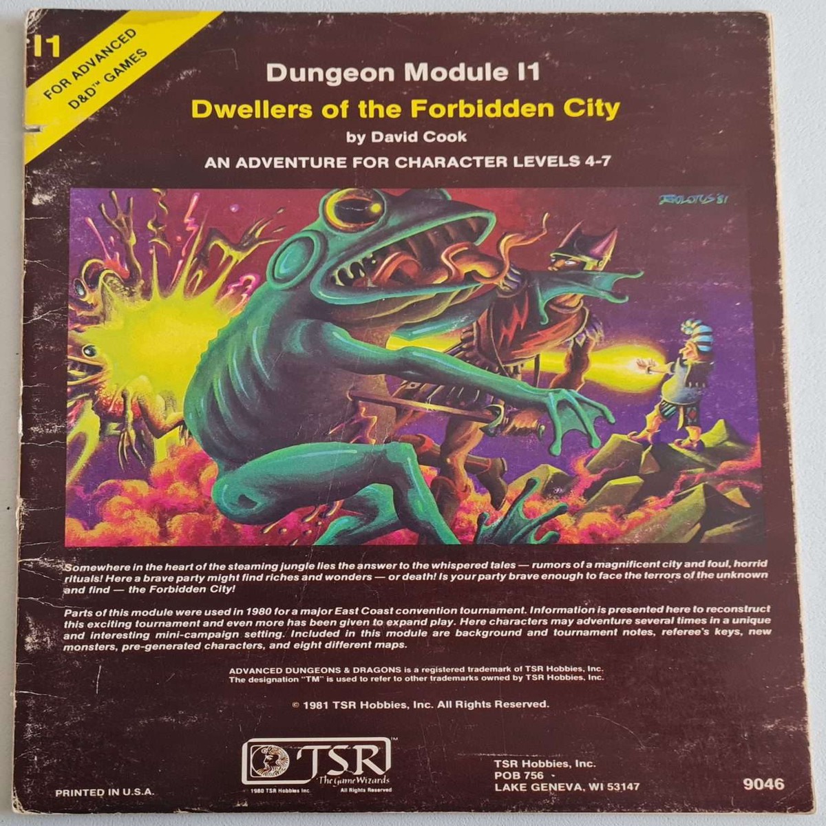 Advanced Dungeons and Dragons Module - Dwellers of the Forbidden City (I1)