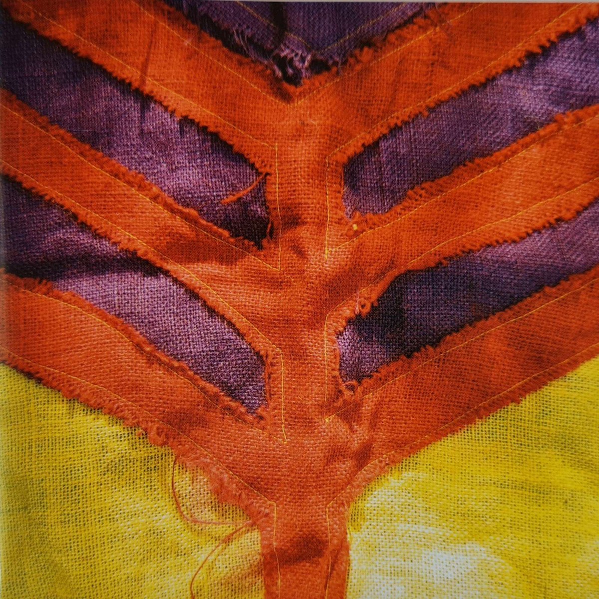 Yeah Yeah Yeahs - Show Your Bones (CD)