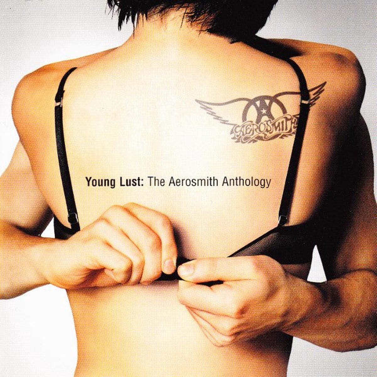 Aerosmith - Young Lust The Aerosmith Anthology (CD)