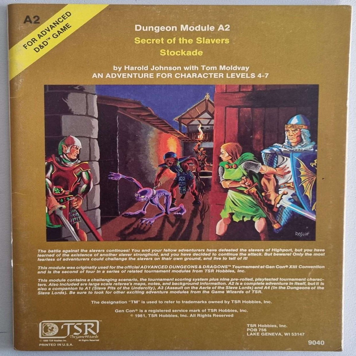 Advanced Dungeons Dragons - Secret of the Slavers Stockade (A2)