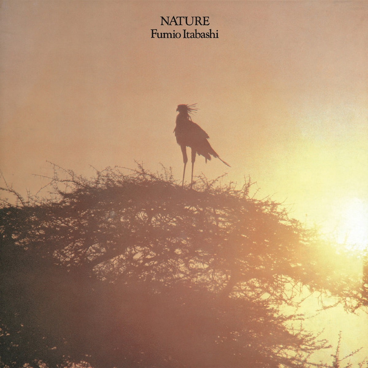 Fumio Itabashi - Nature LP (Pre-Order)