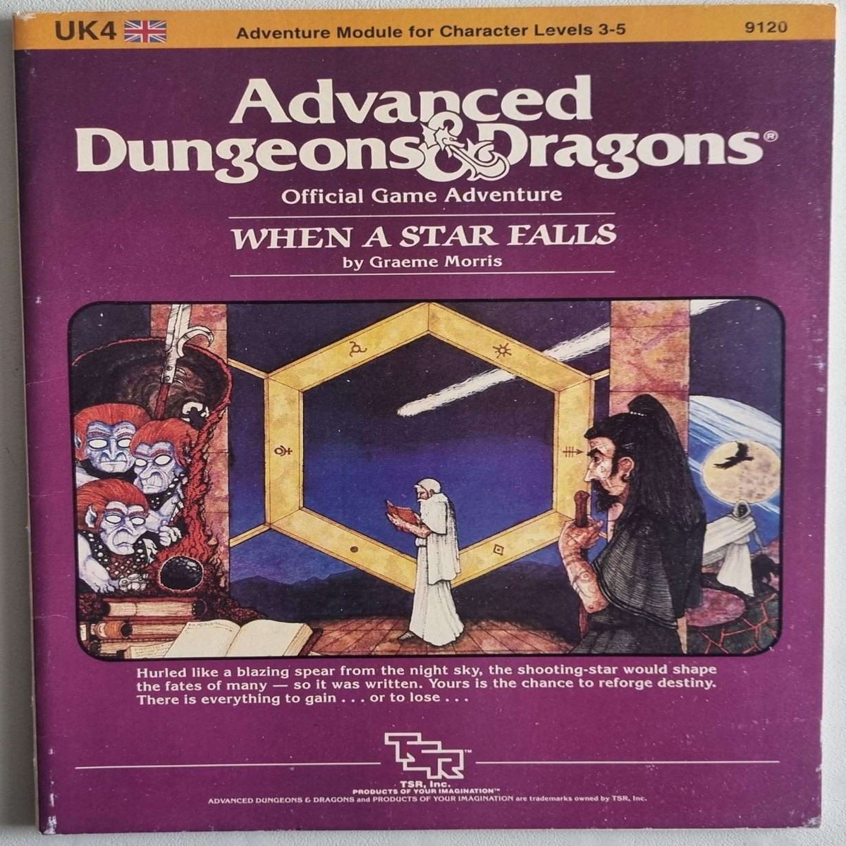 Advanced Dungeons and Dragons - When a Star Falls (UK4 9120)