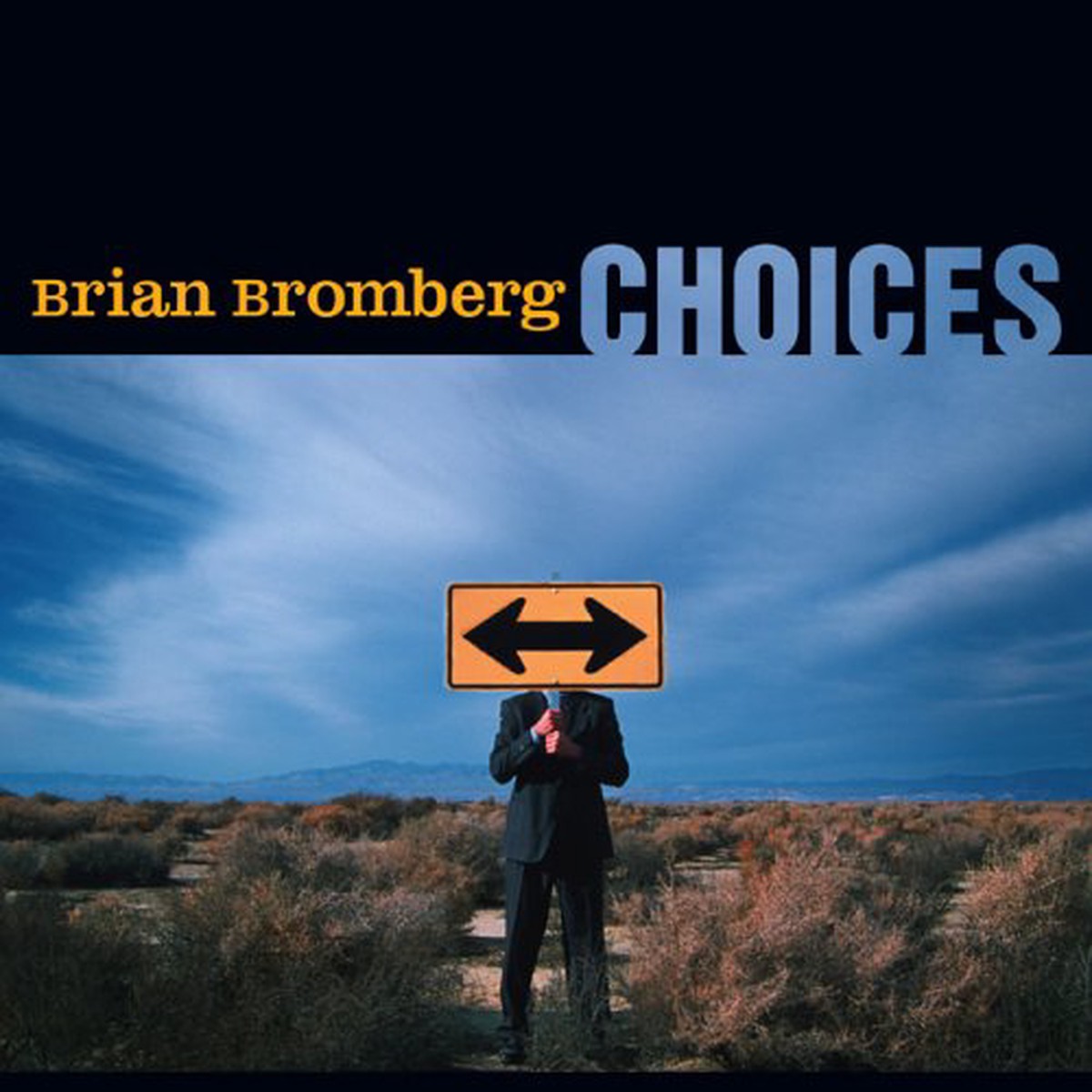 Brian Bromberg - Choices CD