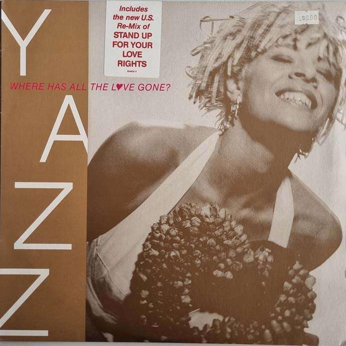 Yazz - Where Has All the Love Gone (12 inch single)